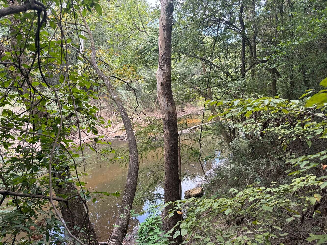 16 Acres of Recreational & Residential Land for Sale in Evergreen, Alabama
