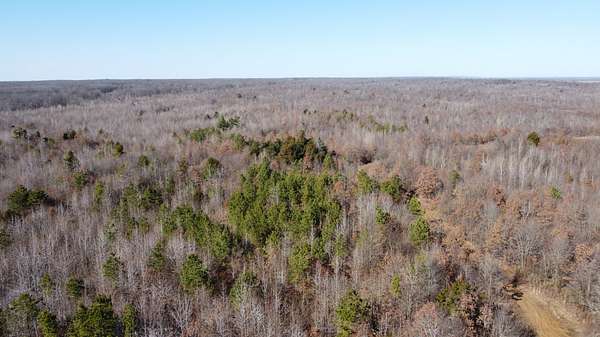 24.1 Acres of Recreational Land for Sale in Forrest City, Arkansas