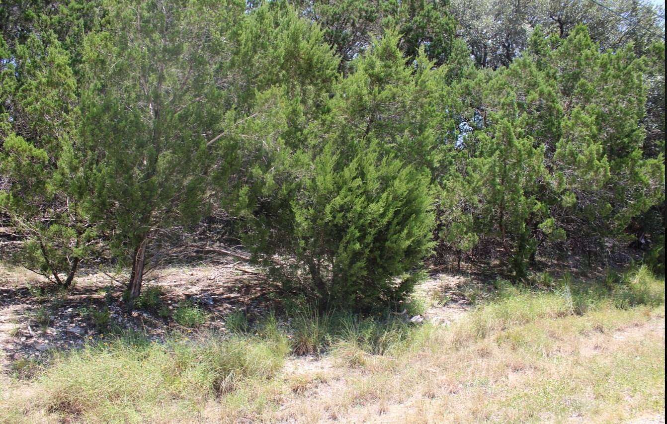 0.23 Acres of Residential Land for Sale in Canyon Lake, Texas