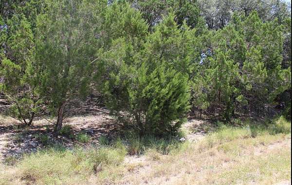 0.23 Acres of Residential Land for Sale in Canyon Lake, Texas