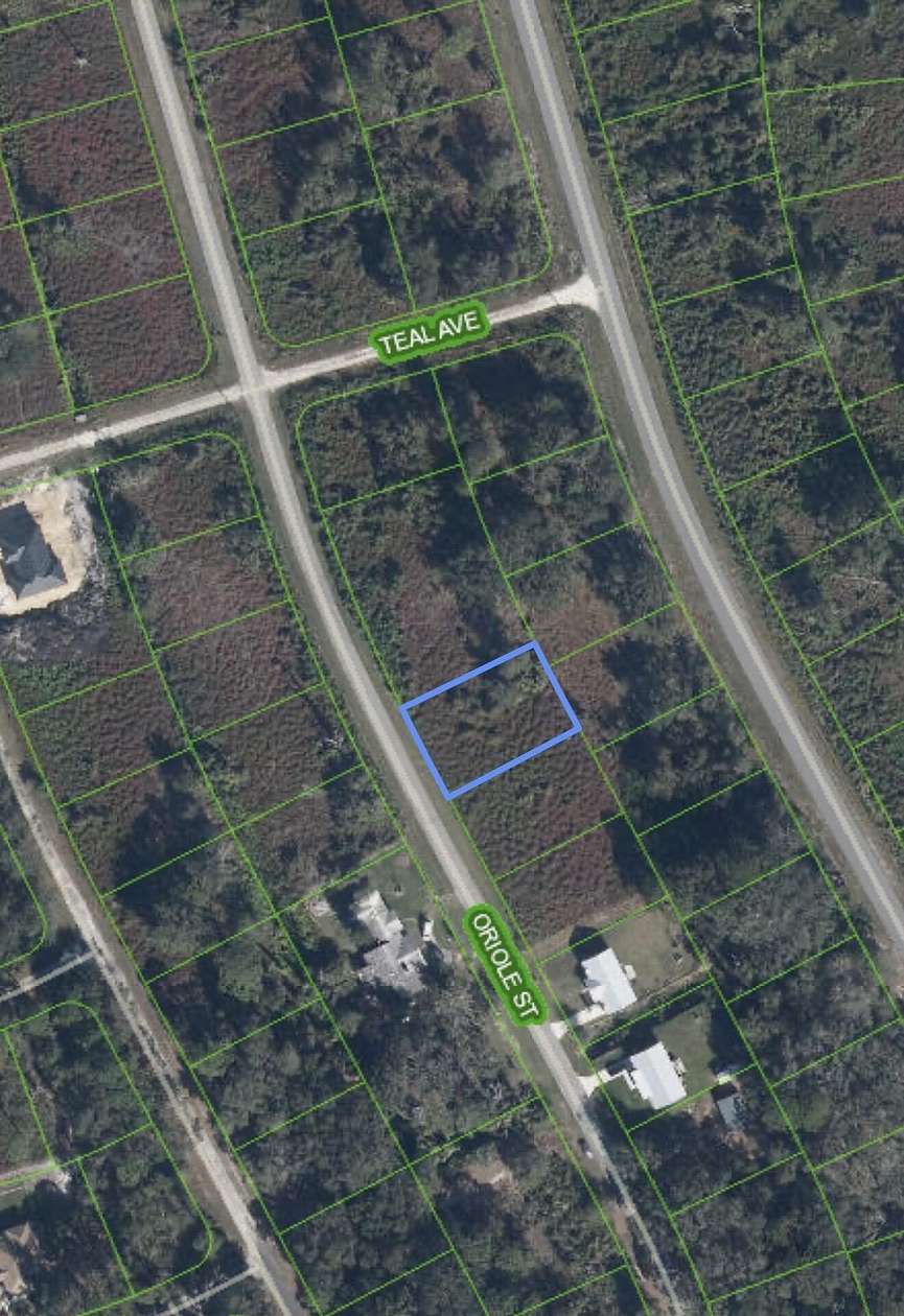 0.24 Acres of Residential Land for Sale in Lake Placid, Florida