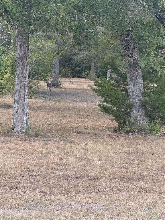 0.33 Acres of Land for Sale in Caldwell, Texas
