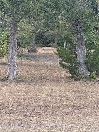 0.33 Acres of Land for Sale in Caldwell, Texas