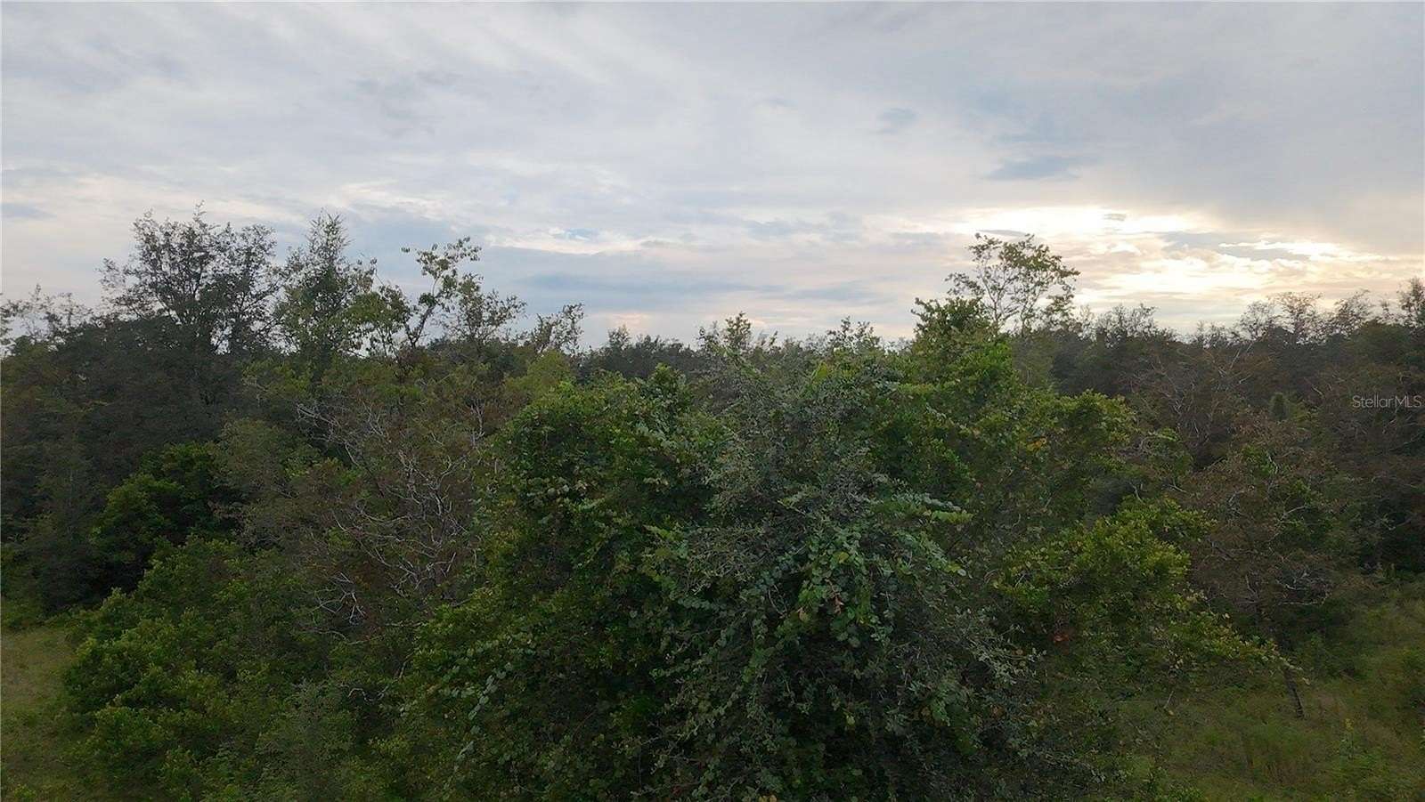0.23 Acres of Land for Sale in Citrus Springs, Florida