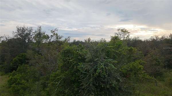 0.23 Acres of Land for Sale in Citrus Springs, Florida