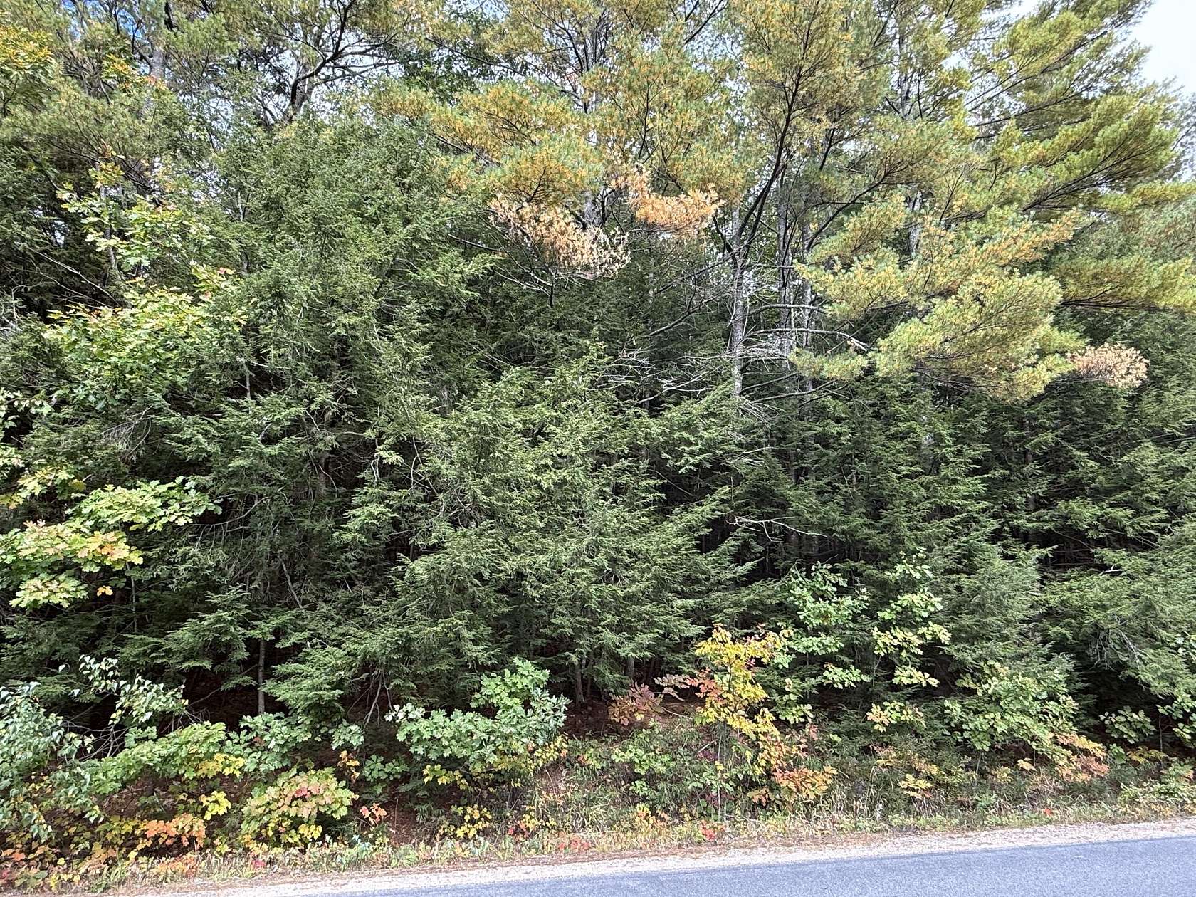 3.65 Acres of Land for Sale in Newfield, Maine