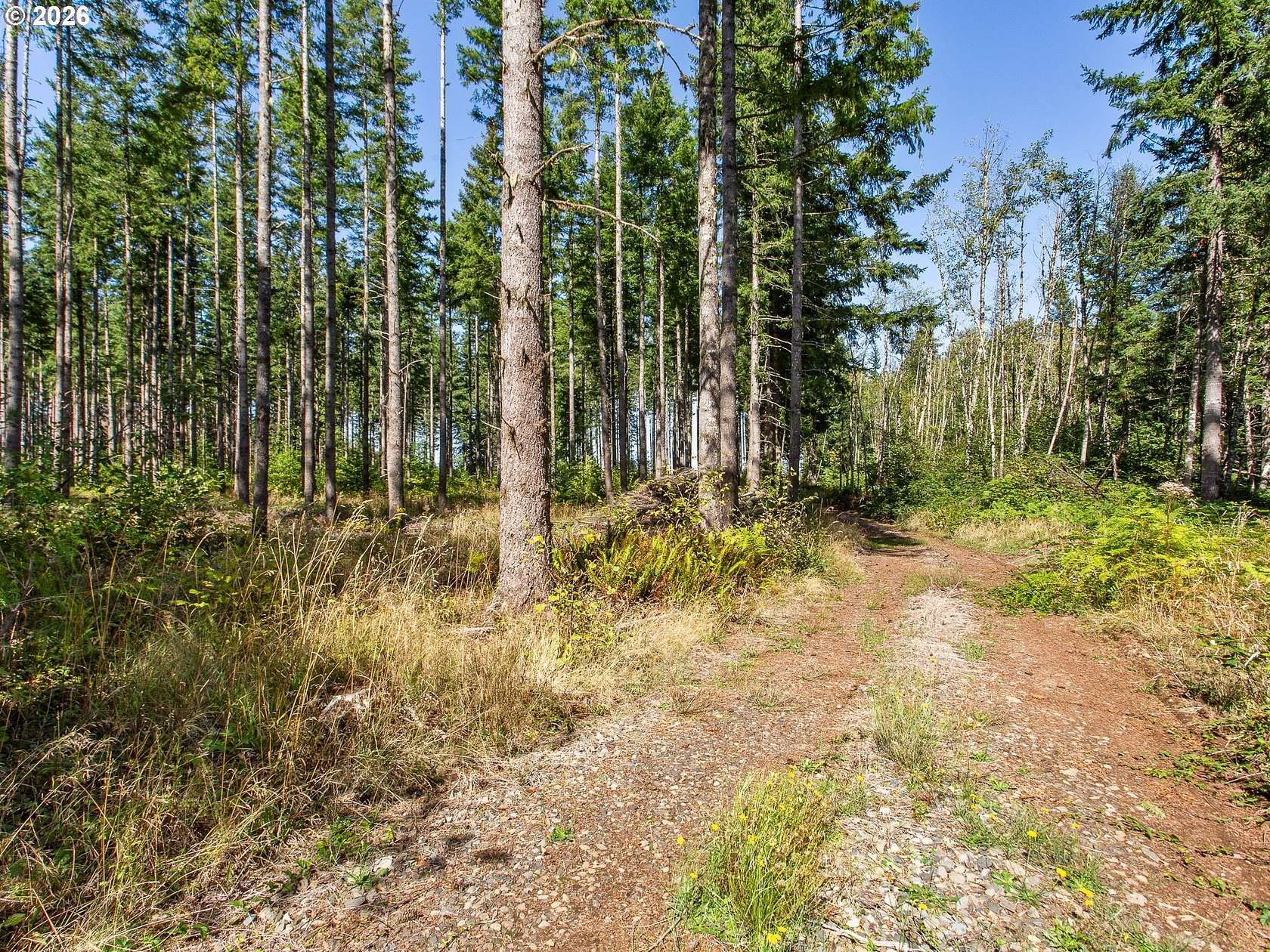 39.1 Acres of Recreational Land for Sale in Colton, Oregon