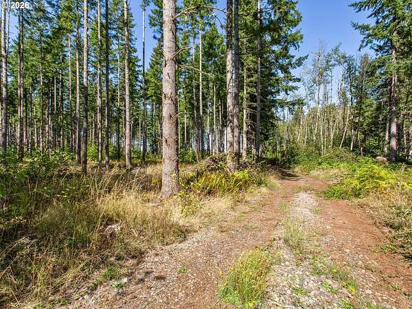 39.1 Acres of Recreational Land for Sale in Colton, Oregon