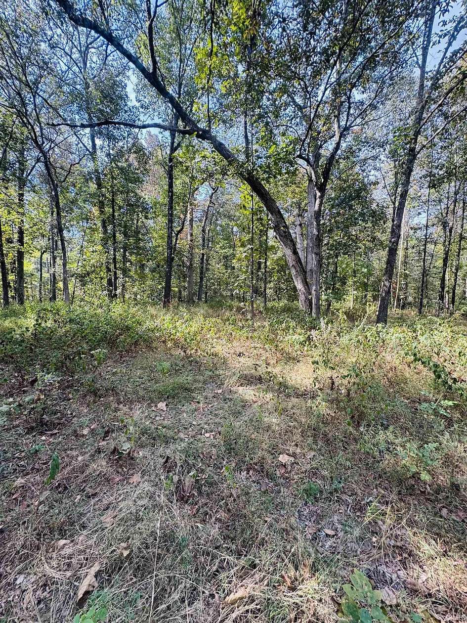 35.9 Acres of Recreational & Residential Land for Sale in Boonville, Indiana