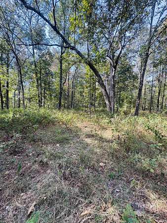 35.9 Acres of Recreational & Residential Land for Sale in Boonville, Indiana