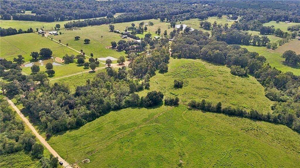 20 Acres of Land for Sale in Amite, Louisiana