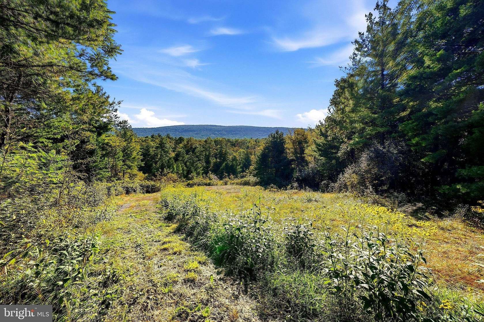 8.82 Acres of Residential Land for Sale in Wardensville, West Virginia