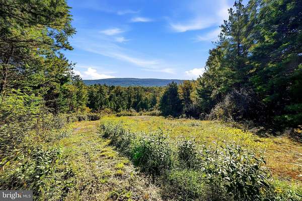 8.82 Acres of Residential Land for Sale in Wardensville, West Virginia