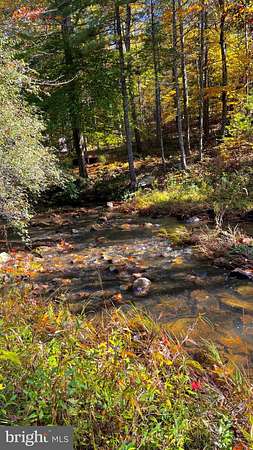 8.82 Acres of Residential Land for Sale in Wardensville, West Virginia