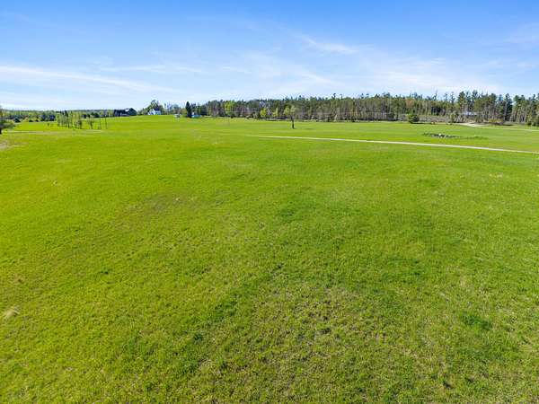 3.65 Acres of Land for Sale in Onaway, Michigan