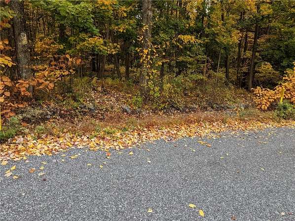 0.05 Acres of Residential Land for Sale in Penn Forest Township, Pennsylvania