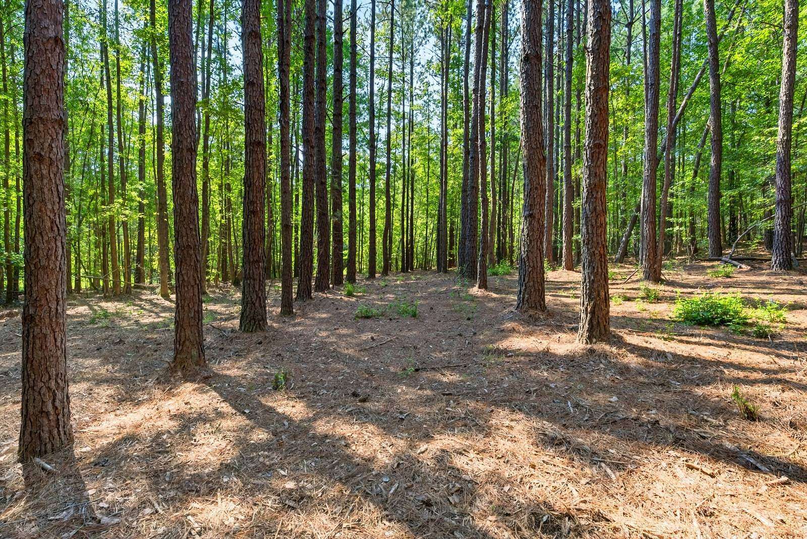 5.45 Acres of Land for Sale in Fountain Inn, South Carolina