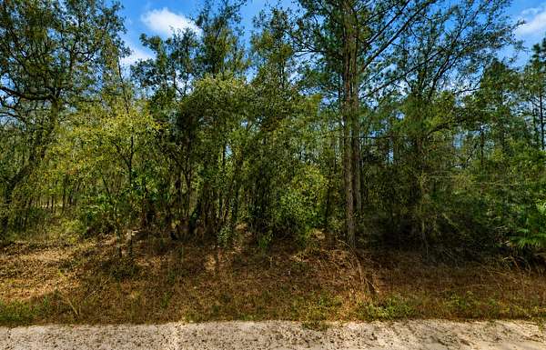 0.22 Acres of Residential Land for Sale in Interlachen, Florida