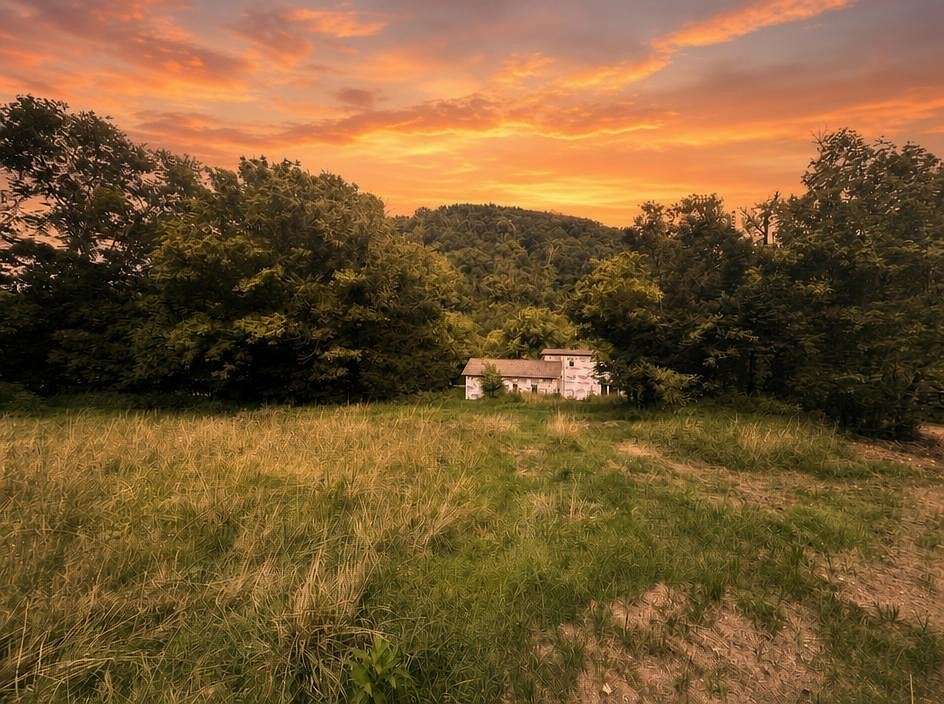 5 Acres of Land with Home for Sale in Pleasant Shade, Tennessee