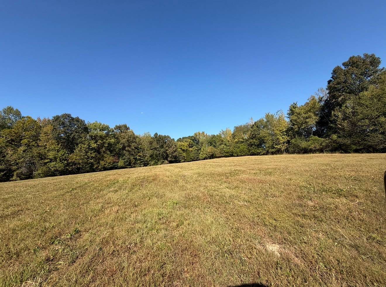 15 Acres of Agricultural Land for Sale in Minor Hill, Tennessee
