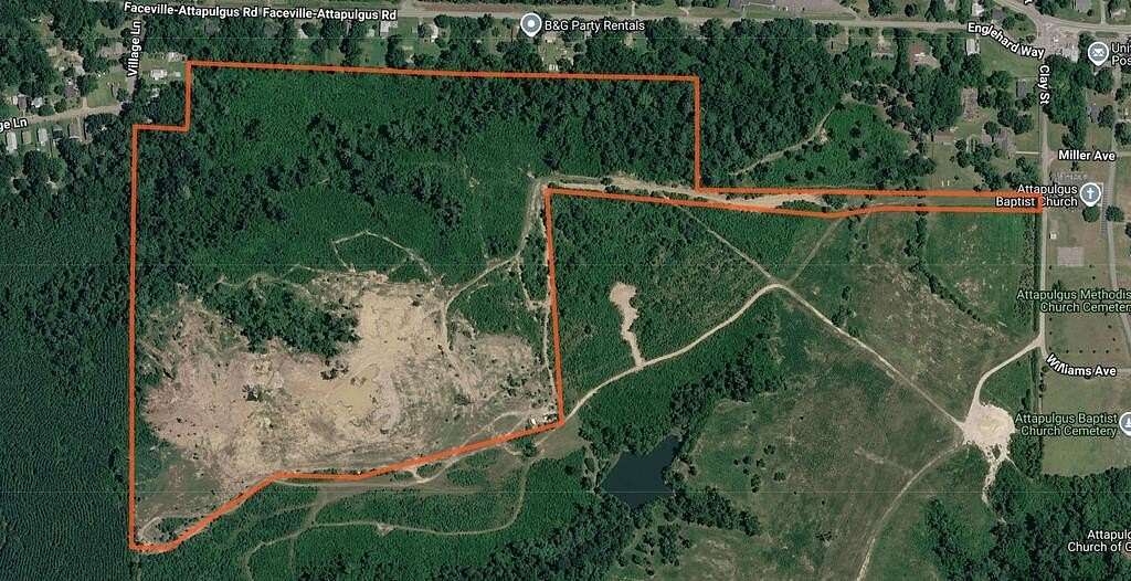62.8 Acres of Land for Sale in Attapulgus, Georgia