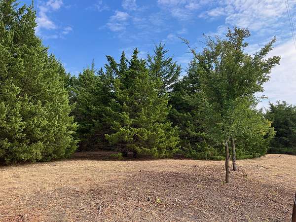 5 Acres of Residential Land for Sale in Blue Ridge, Texas
