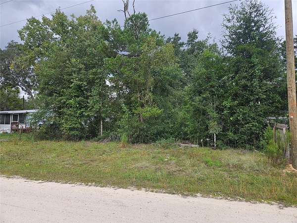 0.3 Acres of Residential Land for Sale in Williston, Florida