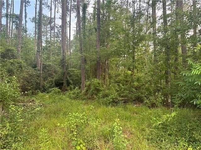 14.5 Acres of Land for Sale in Roseland, Louisiana
