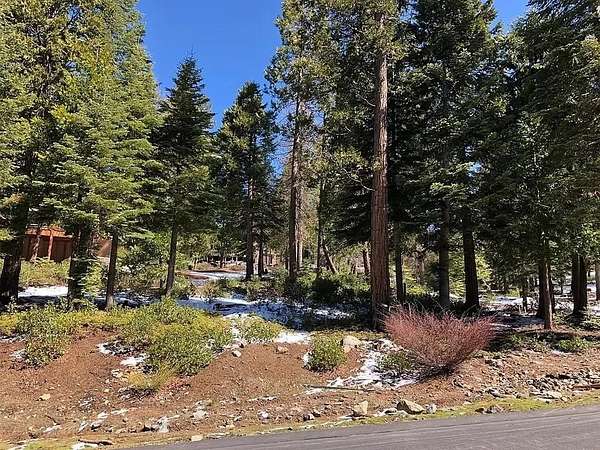 0.59 Acres of Residential Land for Sale in Shaver Lake, California