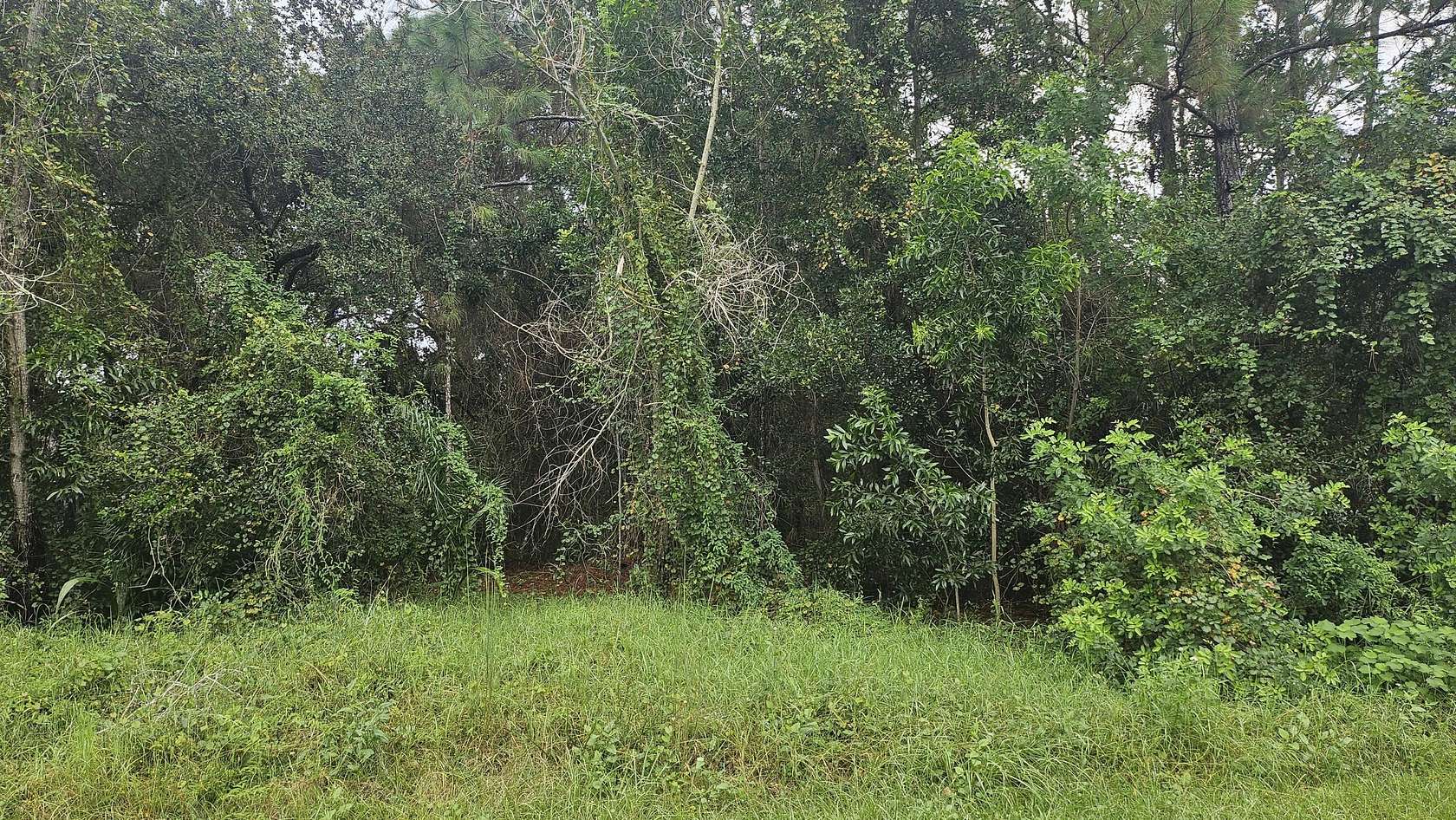 0.31 Acres of Residential Land for Sale in Port St. Lucie, Florida