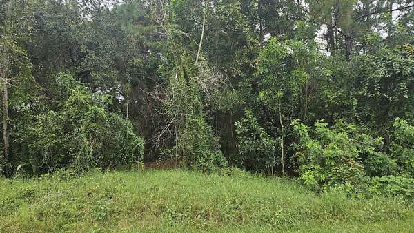 0.31 Acres of Residential Land for Sale in Port St. Lucie, Florida