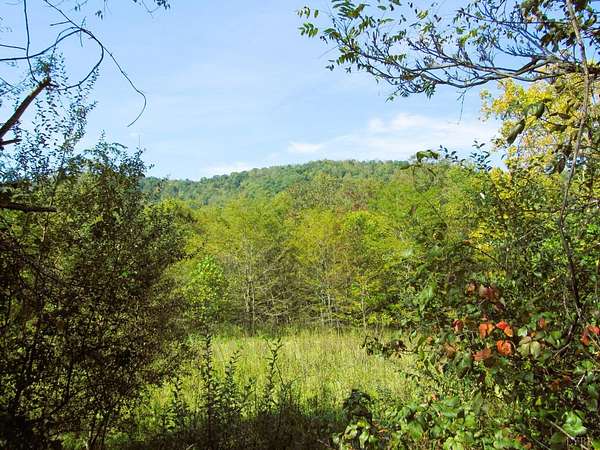 66.3 Acres of Land for Sale in Lovingston, Virginia