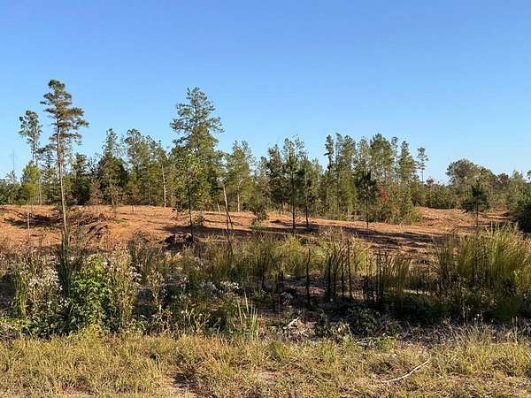 5 Acres of Residential Land for Sale in Mansfield, Tennessee