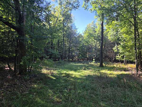 11.5 Acres of Land for Sale in Montague, Michigan