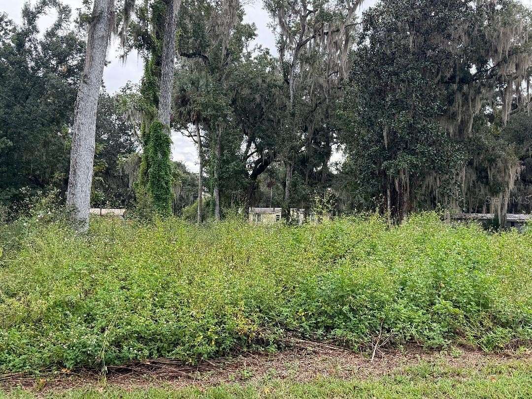 0.17 Acres of Land for Sale in Lake Panasoffkee, Florida