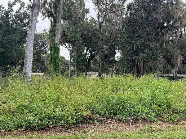 0.17 Acres of Land for Sale in Lake Panasoffkee, Florida