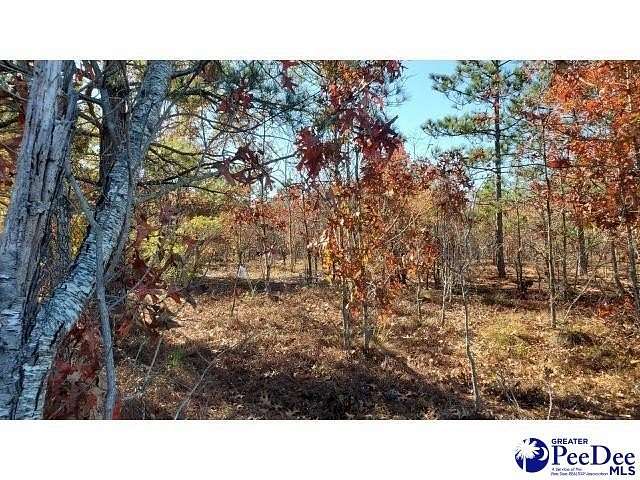 9.13 Acres of Residential Land for Sale in Hartsville, South Carolina