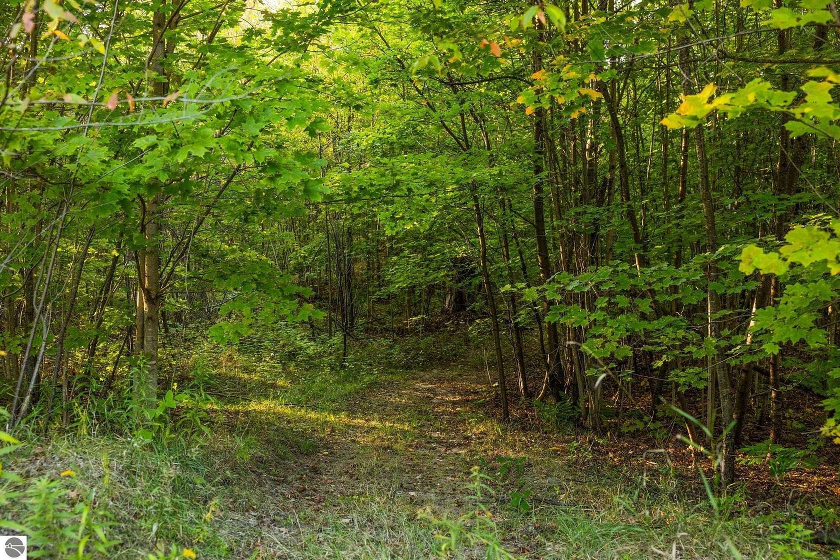 11.5 Acres of Recreational Land for Sale in Kalkaska, Michigan