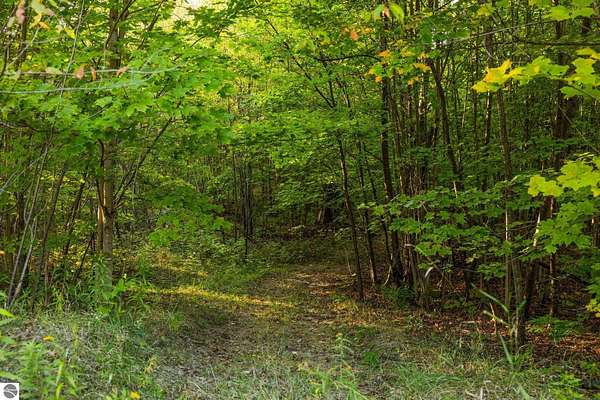 11.5 Acres of Recreational Land for Sale in Kalkaska, Michigan