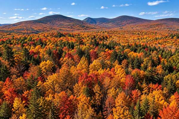61.2 Acres of Land for Sale in Stark, New Hampshire