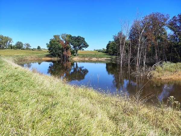 21 Acres of Land for Sale in Kahoka, Missouri