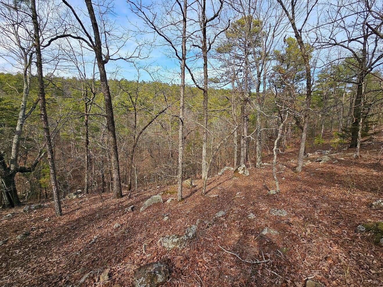 20 Acres of Land for Sale in Talihina, Oklahoma