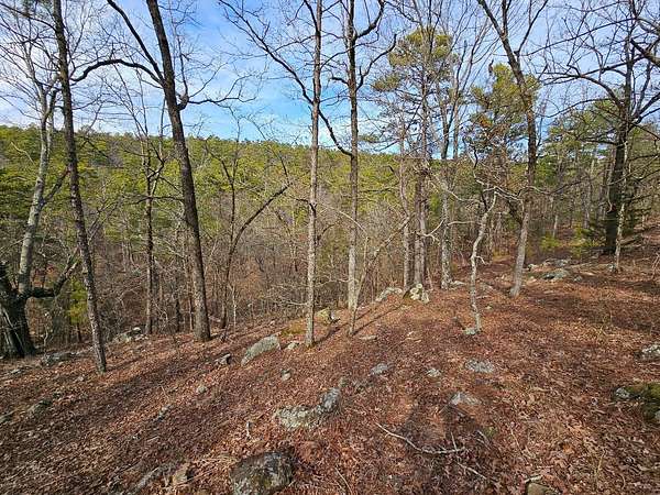 20 Acres of Land for Sale in Talihina, Oklahoma