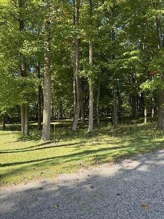 1 Acre of Residential Land for Sale in Jones, Michigan