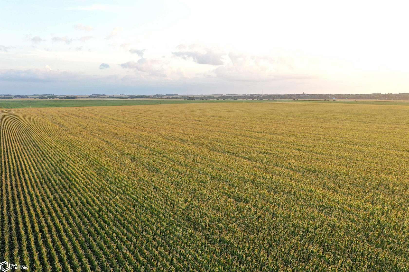 180 Acres of Agricultural Land for Sale in Rock Falls, Iowa