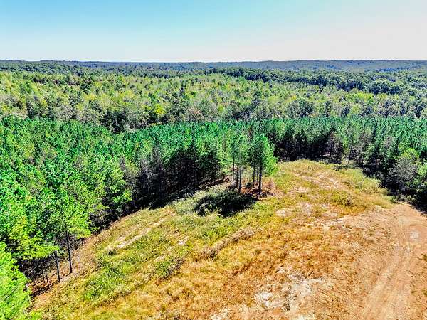 15.2 Acres of Recreational & Residential Land for Sale in Erin, Tennessee