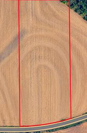 10 Acres of Land for Sale in Slocomb, Alabama