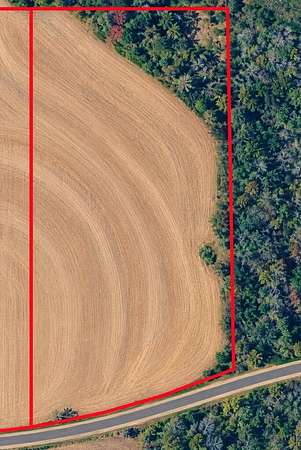 10 Acres of Land for Sale in Slocomb, Alabama