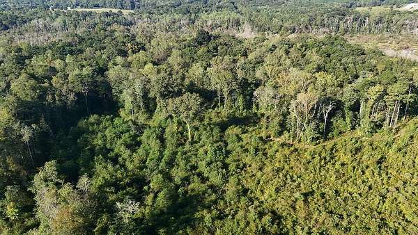 26 Acres of Recreational & Residential Land for Sale in Ariton, Alabama