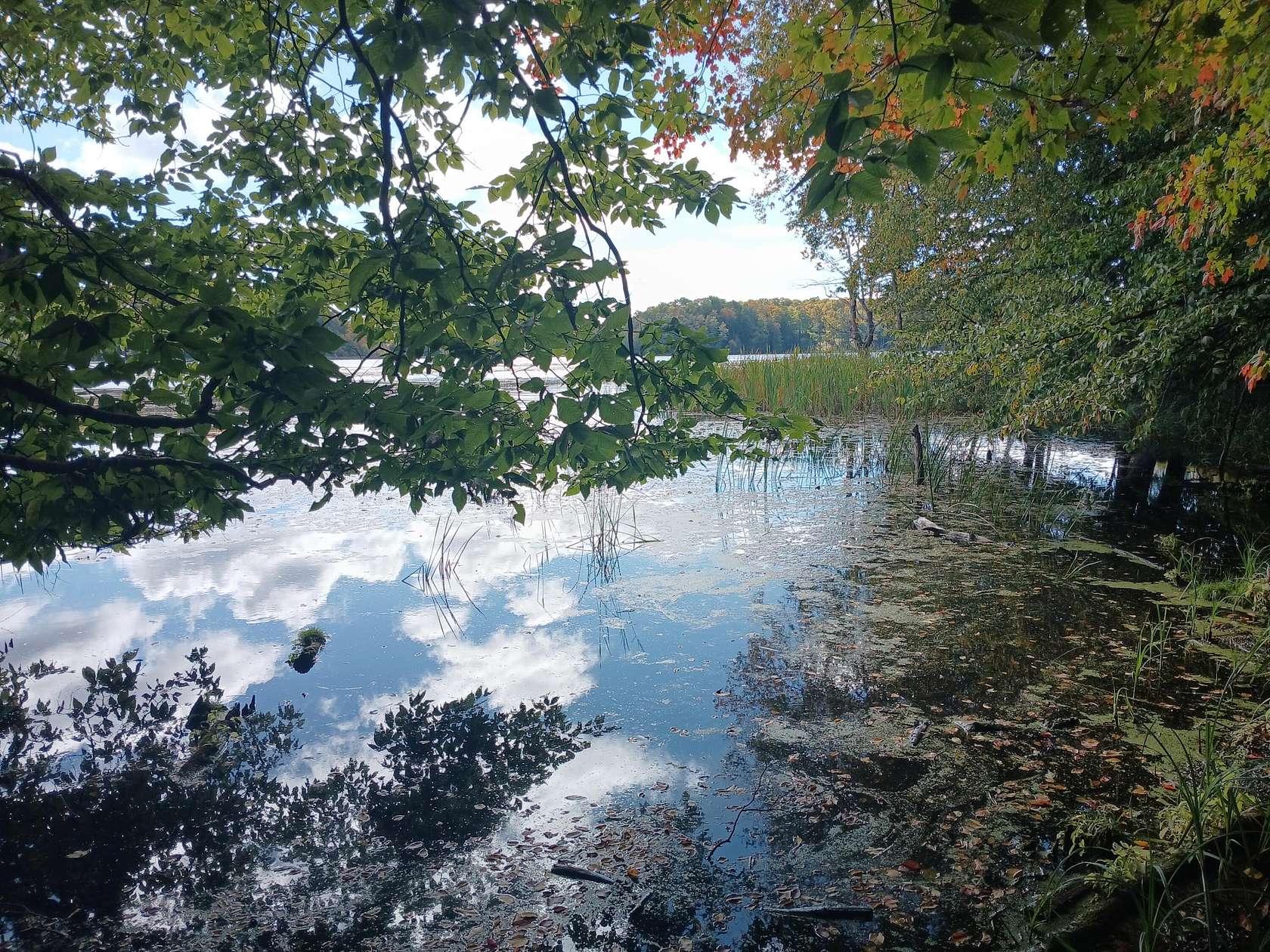 38.3 Acres of Recreational Land for Sale in Free Soil, Michigan